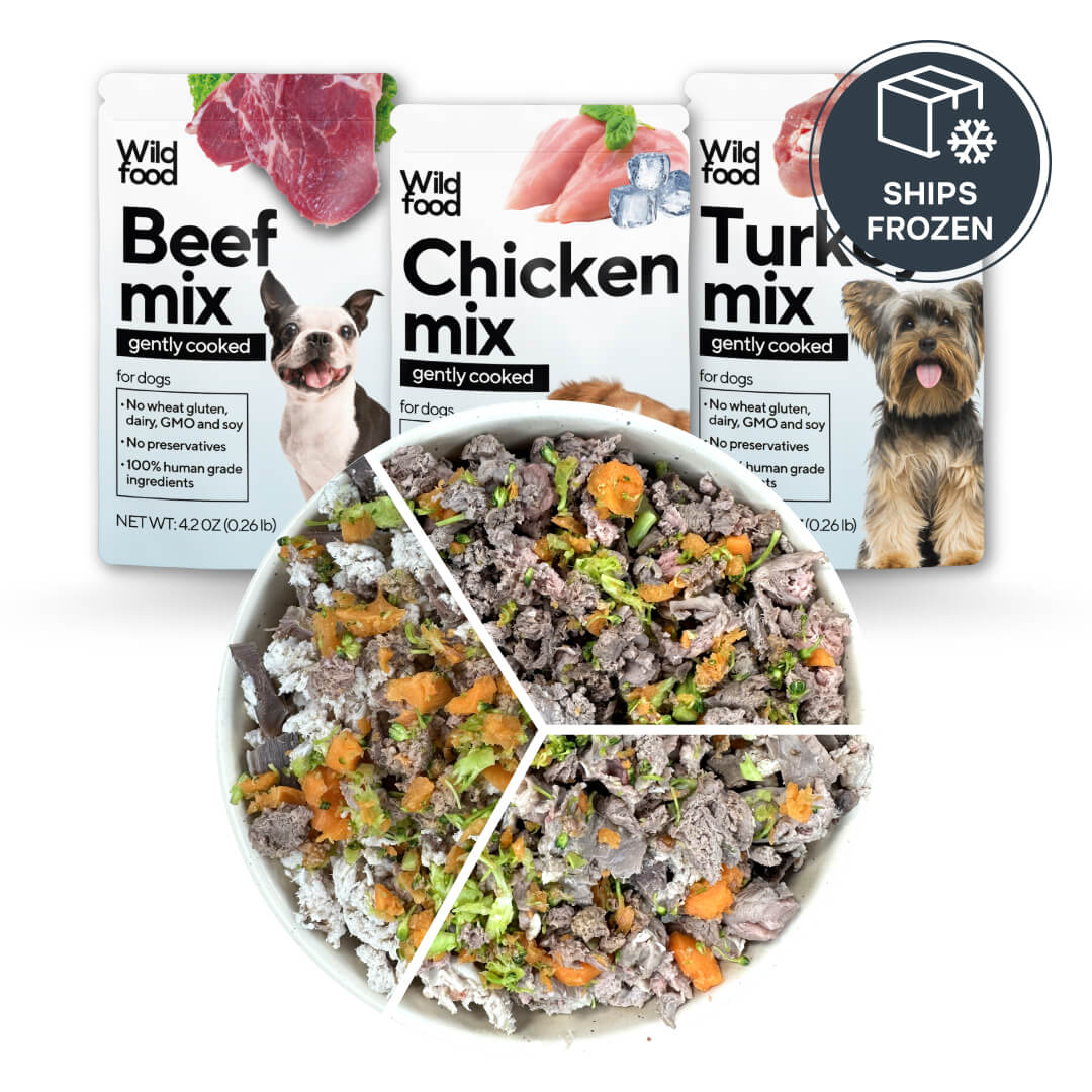 Chicken, Beef & Turkey Variety Pack for Dogs | Gently cooked