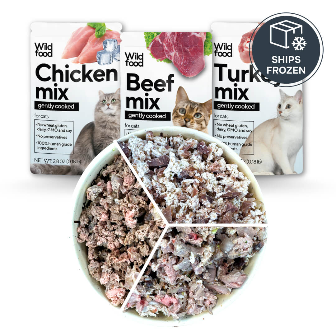 Chicken, Beef & Turkey Variety Pack for Cats | Gently cooked